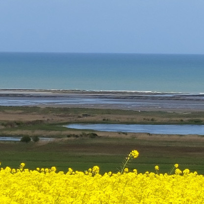 12/04/26 Ver sur Mer